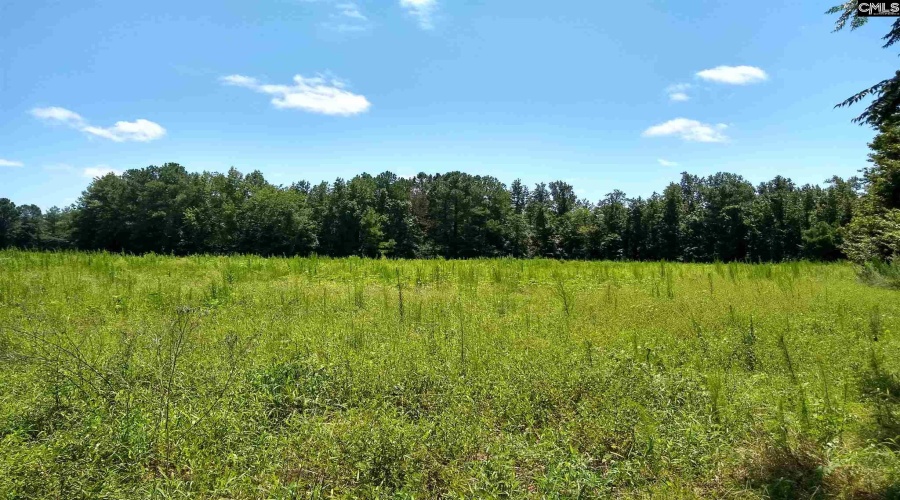 0 0 Calvary Lane, <br>Cheraw, South Carolina 29520<br>Office: Hillcrest Land<br>Listing Agent: Daniel Timms, ,Acreage,For Sale,0 Calvary Lane,49561