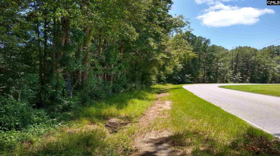 0 0 Moffatt Road, <br>Cheraw, South Carolina 29520<br>Office: Hillcrest Land<br>Listing Agent: Daniel Timms, ,Acreage,For Sale,0 Moffatt Road,49564