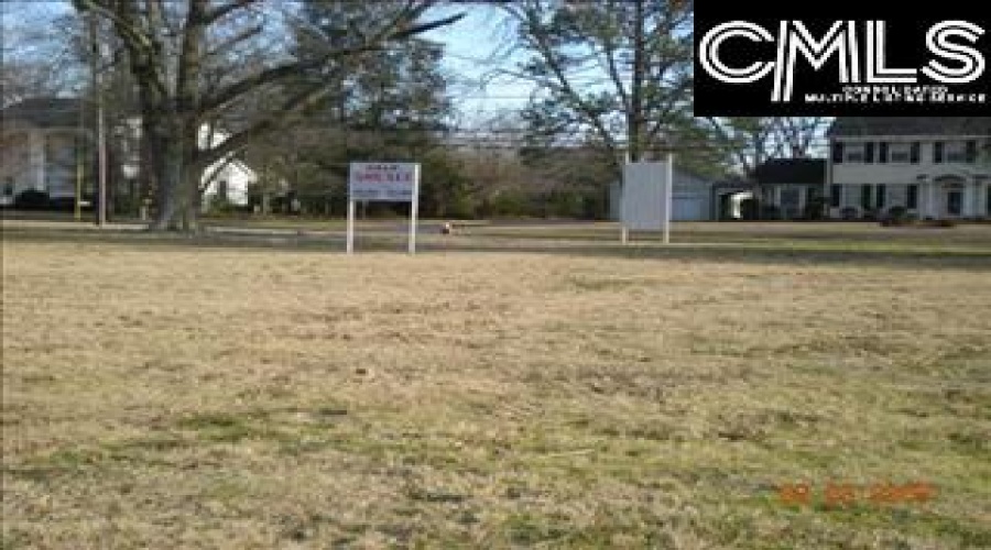 307 307 E COLUMBIA Avenue, <br>Leesville, South Carolina 29070<br>Office: Shealy Realty<br>Listing Agent: Michael Shealy, ,Commercial,For Sale,307 E COLUMBIA Avenue,73542